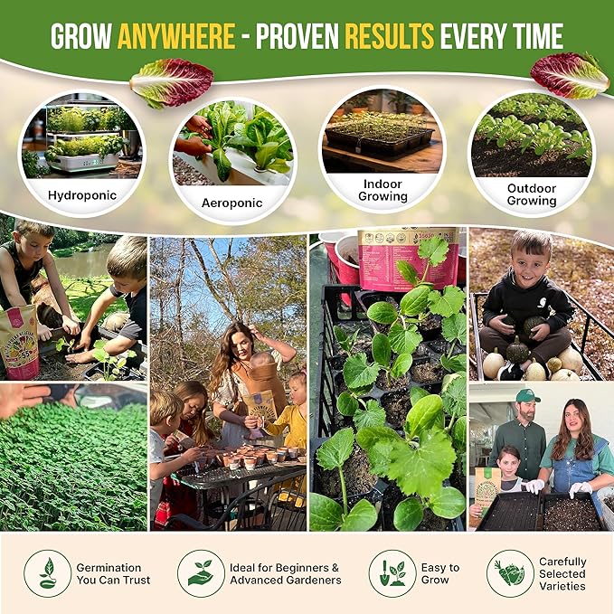 Organo Republic 22 Lettuce & Salad Greens Seeds Variety Pack 24,700+ Non-GMO Heirloom Lettuce Seeds for Indoor & Outdoor Garden, Hydroponic & Aeroponic - 2026 Season - Arugula, Spinach, Swiss Chard