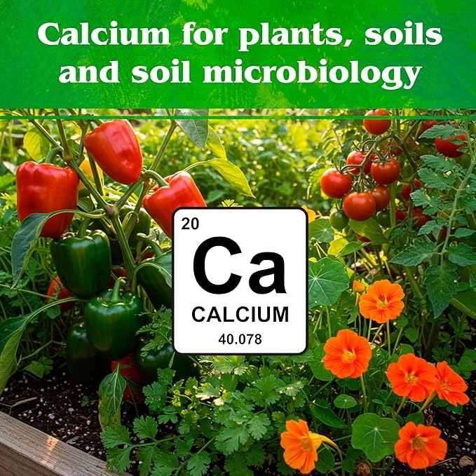 Down To Earth All Natural Fertilizers Organic Solution Grade Calcium 96 - Professional Grade Limestone Powder 325 mesh for Liquid, Drip or Spray Applications, 1 lb