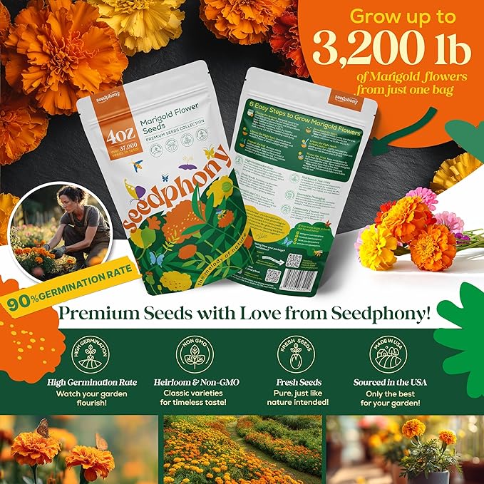 Marigold Seeds Pack 4 oz - 37,000 Non-GMO Heirloom Marigold Seeds for Planting, Perennial Flowers in Waterproof Seed Packet, Wildflower Seeds for Planting Garden Indoor & Outdoor Gardening