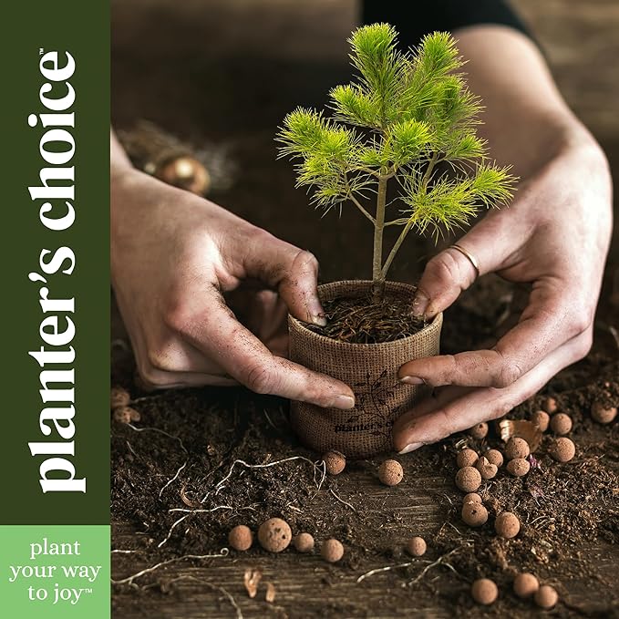 Planter's Choice Bonsai Tree Starter Kit - Unique Easter Gifts for Women, Men - Birthday Gifts for Adults - Indoor Live House Plants - DIY for Adults Craft Kits - Hobby Gift for Gardening Lovers