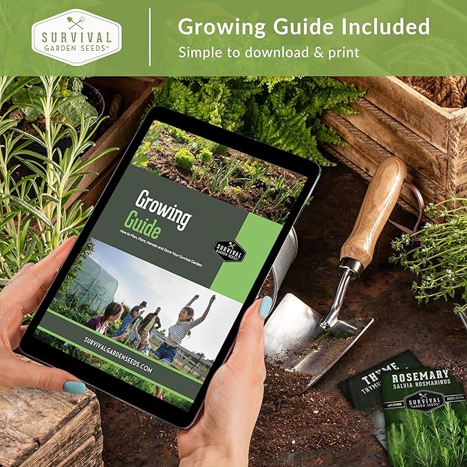 Leafy Greens Seeds Variety Pack – 5 Heirlooms: Viroflay Spinach, Arugula, Lacinato Kale, Salad Bowl Lettuce & Rainbow Swiss Chard – Cool Season Garden Collection - Survival Garden Seeds