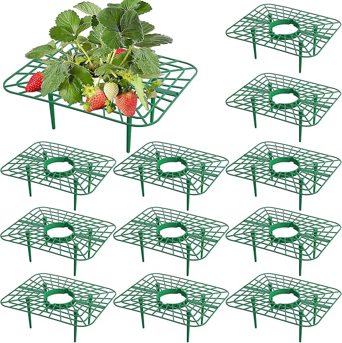 Iceyyyy 12 Packs Square Strawberry Supports-Strawberry Growing Racks- Plant Support Strawberry Stand Holder Growing Frame Keep Berries Clean (Square 12PCS)