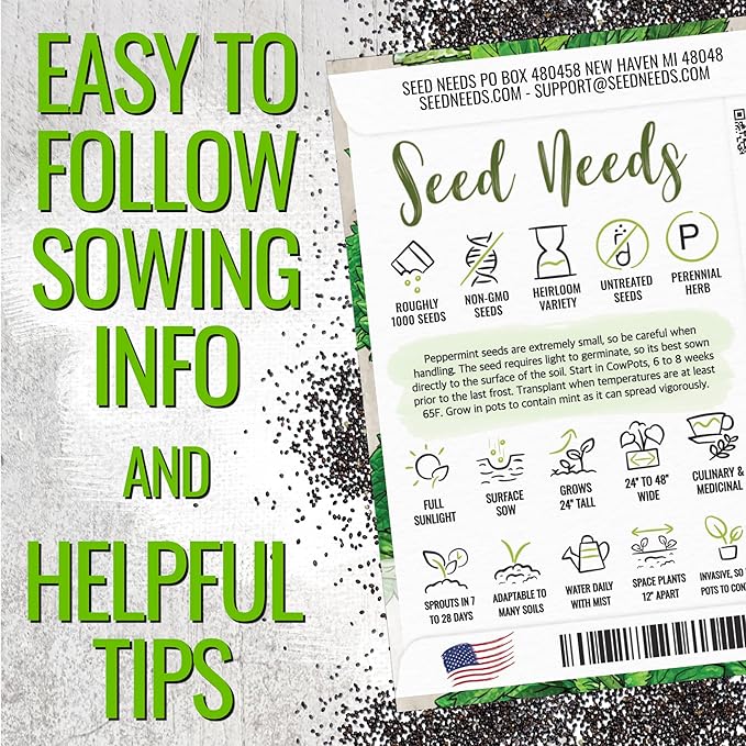 Seed Needs Peppermint Seeds for Planting - Non-GMO, Heirloom & Untreated - Medicinal/Culinary Herb to Plant a Home Grown Indoor or Outdoor Garden (2 Packs)