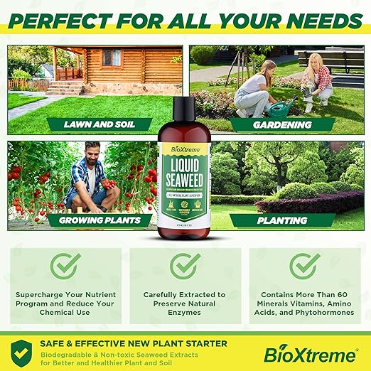 Liquid Seaweed Premium Concentrate – Undiluted Kelp Extract with No Fillers or Colorants – All Natural Fertilizer for Plant & Flower Growth Seed Germination & Root Development – 16 Oz