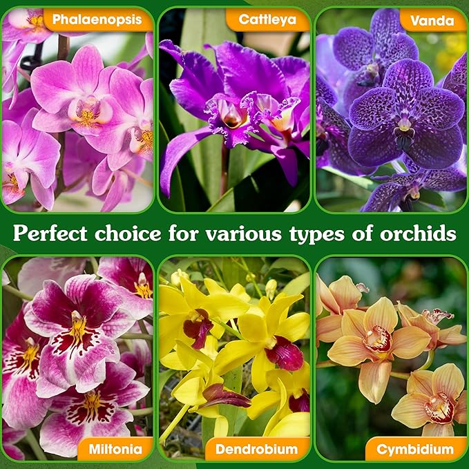 5-in-1 Orchid Potting Mix with Forest Moss, Pine Bark, Perlite, Zeolite, and Pumice – Orchid Soil, Orchid Repotting Kit for Healthy Roots, Fast Drainage, and Support for Growth 1 QRT