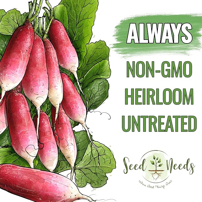 Seed Needs Radish Seeds for Planting French Breakfast Radishes - Non-GMO Heirloom & Untreated - Grow a Home Grown Vegetable Garden - Cool Weather Crops (2 Packs)