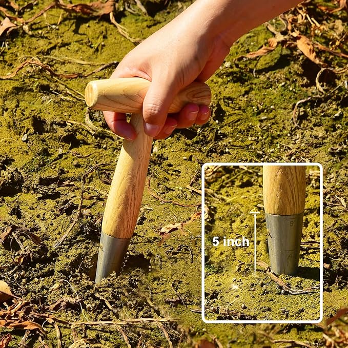 Seed Dibber Hand Dibber Bulb Planter Tool, Stainless Steel Garden Dibber with Wooden Handle for Planting Seeds, Bulbs, Tulips, Daffodils and Flowers
