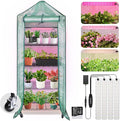 Mini Indoor Greenhouse with Grow Light, Portable 4-Tier Plant Stand with PVC Cover, Adjustable Shelves & Thermohygrometer for Seed Starting & Plant Growth, 70 x 23 x 19'', 32W Grow Light