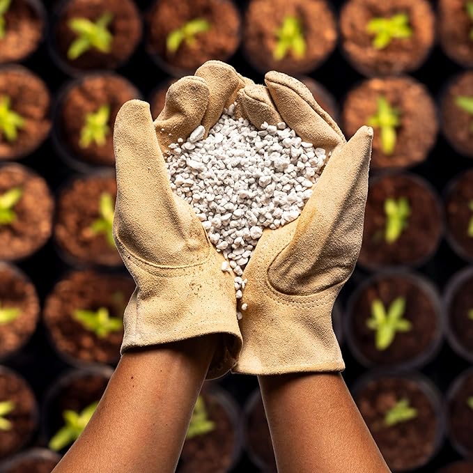 Perlite Bliss (4 Cubic Ft) - Organic Perlite for Plants Indoor Soil Amendment - Bulk Perlite for Gardening & Seed Starting - Mixes Easily with Potting Soil, Vermiculite, & Coco Coir for Plants