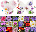 48PCS Plantable Seed Paper Hearts & Butterflies – Wildflower Embedded Paper, Unique Gifts for Mothers, Garden Lovers, Weddings, Bridal Showers, Birthdays & Special Celebrations
