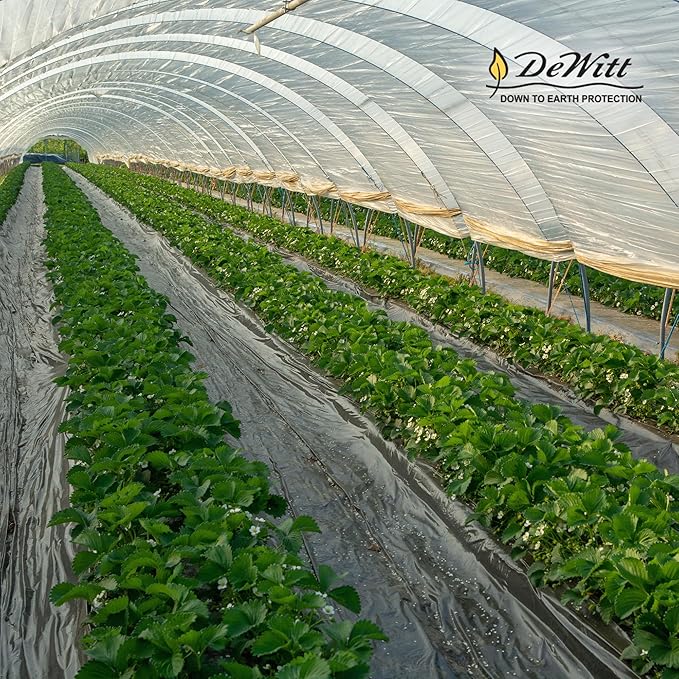DeWitt 30 Year Professional Weed Control Fabric, 3 oz, Black, 4' x 100' - Heavy-Duty, Tear-Resistant Landscape Barrier for Gardens, Pathways & Hardscaping, Water & Nutrient Permeable