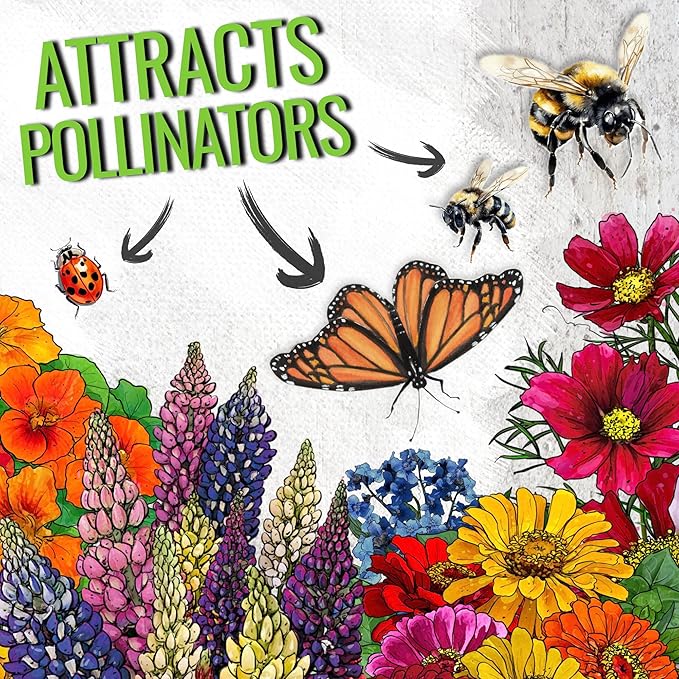 Seed Needs Flower Seeds Hummingbird and Butterfly Seed Mix 1 Ounce No Filler | 23 Varieties Garden Seeds Annual & Perennial Species | Pollinator Attracting Flowering Seed | Bulk Resealable Package
