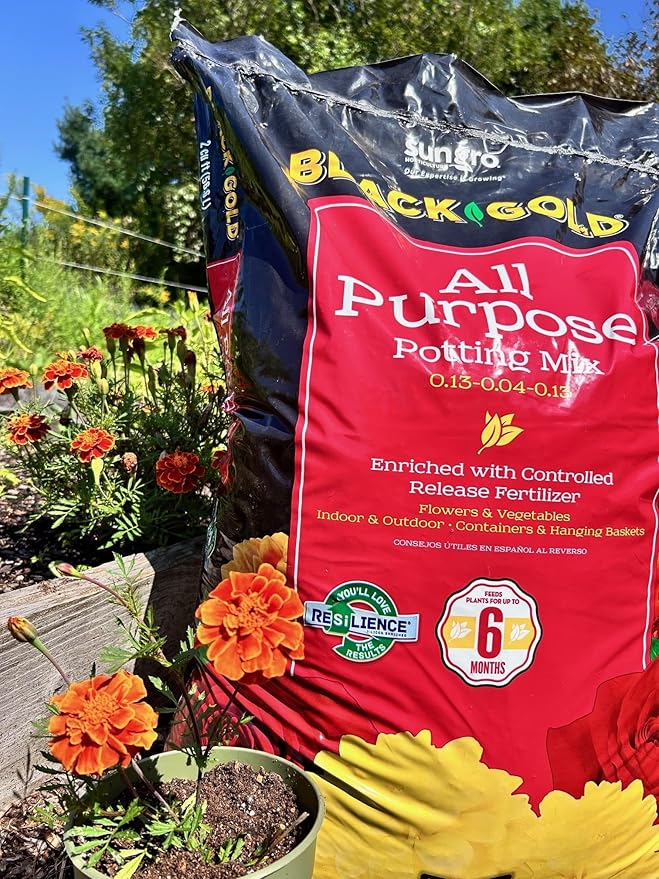Black Gold All Purpose Potting Mix 8qt