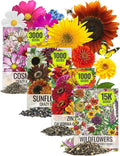 Seed Needs Butterfly Garden Bulk Seed Variety Collection - 4 Large Pouches Pure Live Seed No Filler - Crazy Cosmos, California Giants Zinnia, Crazy Sunflower & Butterfly Wildflower Mix