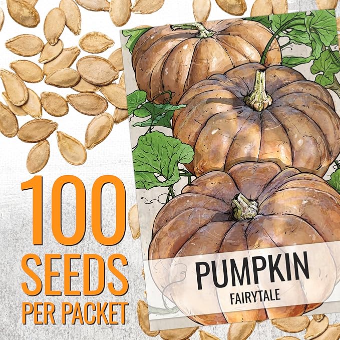 Seed Needs Fairytale Pumpkin Seeds for Planting | Non-GMO Heirloom & Untreated | Bulk French Pumpkins Seed to Plant an Outdoor Home Grown Pumpkin Patch