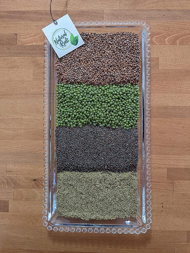 Variety Pack Sprouting Seeds. One Pound. Includes one Pack of Broccoli, Alfalfa, Radish & Mung Beans. for Sprouts and Microgreens. Non-GMO. Seeds for Jar or Trays. Each Pack is a Quarter Pound