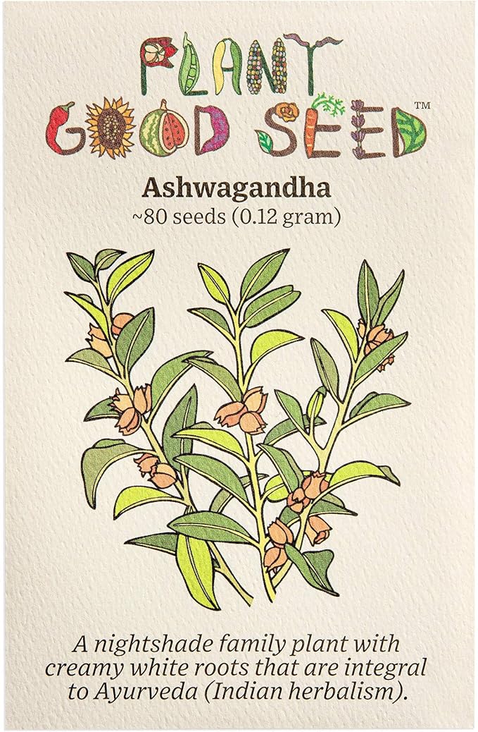 Plant Good Seed Organic Ashwagandha Seeds for Planting: Ayurveda Herb, White Roots - 80 Seed Packet