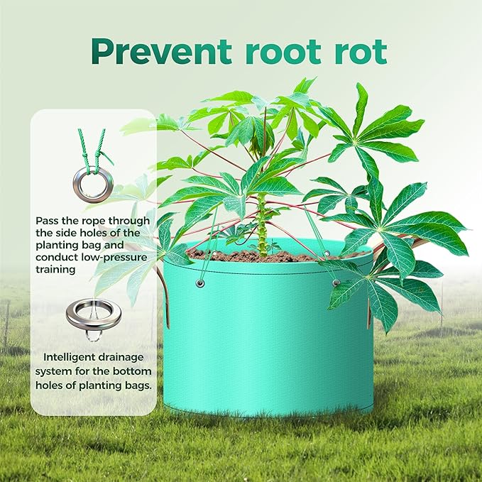 7 Pcs 2 Gallon Potato Grow Bag, PE Garden pots Plant Grow Bag with Branch-Binding Holes and Drain holefor for Vegetables, Strawberries, Flowers