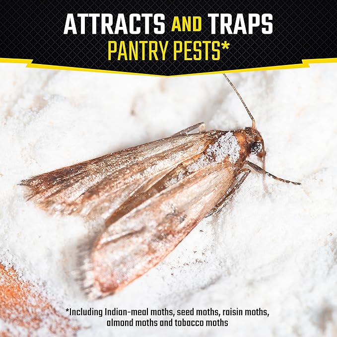 Black Flag Pantry Pest Trap 2 Count, Insect Traps, Safe For Use In Kitchens And Pantries
