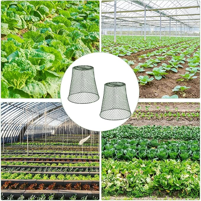 40 Pcs 8 inch Chicken Wire Plant Covers,Wire Garden Cloches Chicken Wire Cloche Plant Protector Metal Heavy Duty Garden Plant Cloche for Keeping Bunnies Chicken Squirrels Birds Other Out