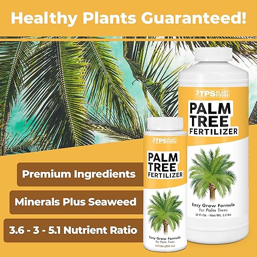 Palm Tree Fertilizer for All Palms and Ferns, Liquid Plant Food, 1 Gallon (128 oz)