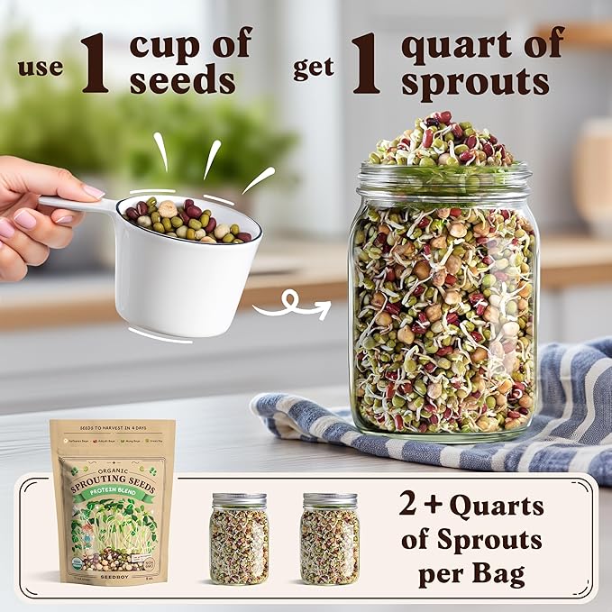 Seedboy Organic Non-GMO Sprouting Seeds, Superfood & Protein Blend - 2 Pack Bundle - USA Grown Sprouting & Microgreens Seeds - Two 8 oz Bags Makes 12 Quarts / 36 Servings (Superfood/Protein)