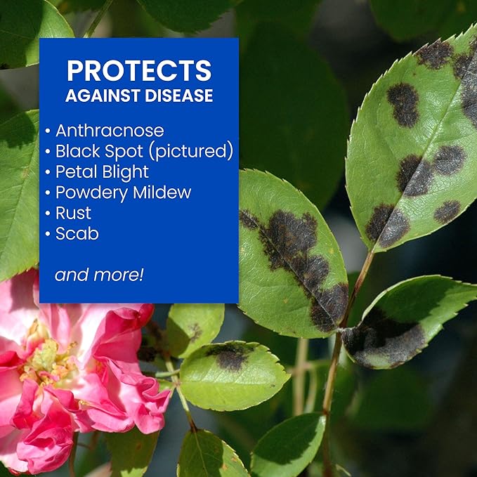 BioAdvanced 3-in-1 Insect and Mite Plant Bug Spray, Pest Control Concentrate, Disease Control