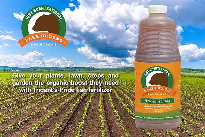 Just Scentsational Bare Ground Solutions TP-1Q Trident's Pride Organic Liquid Fish Hydroponic Soil Fertilizer, 32 oz (1 Quart)
