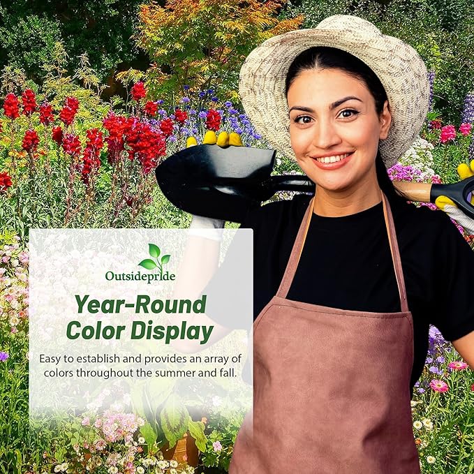 Outsidepride Sunburst Short Seed Mix - 1 lb. Annual, Easy to Grow & Pollinator Friendly, Wildflower Seeds for Planting w/Vibrant Low-Growing Flowers, Ideal for Ground Cover & Erosion Control