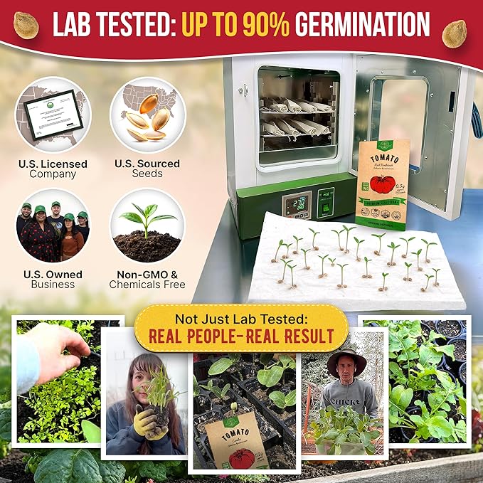 Red Beefsteak Tomato Seeds Pack 0.5 G - Over 250 Non-GMO Heirloom Tomato Seeds for Planting Vegetables in Individual Seed Packet, Vegetable Seeds for Planting Home Garden Indoor & Outdoor Gardening