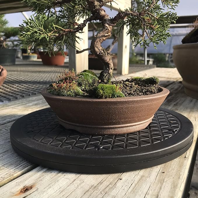 Mighty Mini Bonsai Tree Turntable 12.5" Base Stainless Steel Ball Bearings. Low Cost 200-Pound Capacity 360-Degree Rotation Allows Easy Pruning Or Great Bonsai Tree Displays