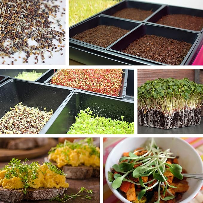 10-Pack 1010 Garden Growing Trays Without Drain Holes - 10" x 10" Plastic Plant Trays No Holes - Wheatgrass Sprouting Tray, Microgreens Seed Tray, Hydroponic Trays, Nursery Flats, Greenhouse Supplies