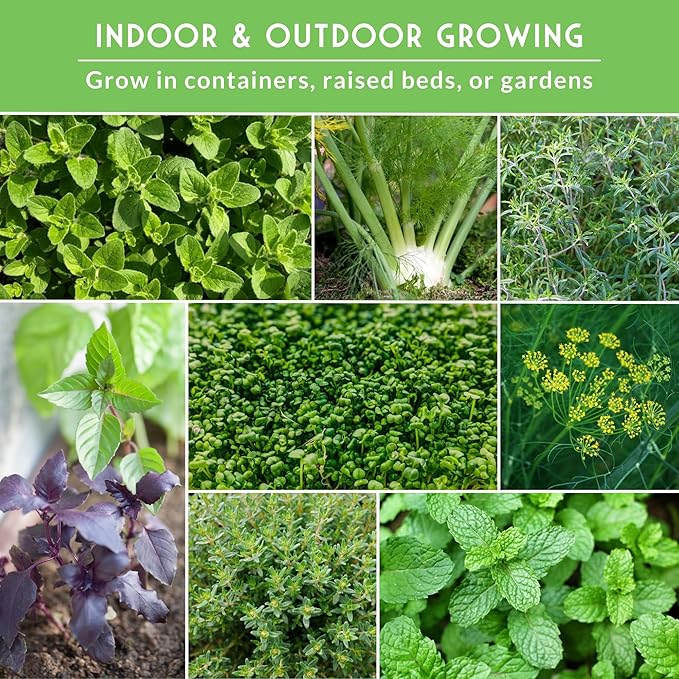 Culinary Herb Seeds Variety Pack for Planting - Grow 18 Heirloom Kitchen Herbs with Basil, Cilantro, Parsley, Dill, Chives, Oregano, Sage, Rosemary, Mint - Indoor or Outdoor - Survival Garden Seeds