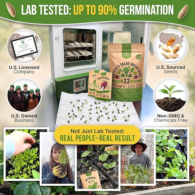 Organo Republic 22 Lettuce & Salad Greens Seeds Variety Pack 24,700+ Non-GMO Heirloom Lettuce Seeds for Indoor & Outdoor Garden, Hydroponic & Aeroponic - 2026 Season - Arugula, Spinach, Swiss Chard