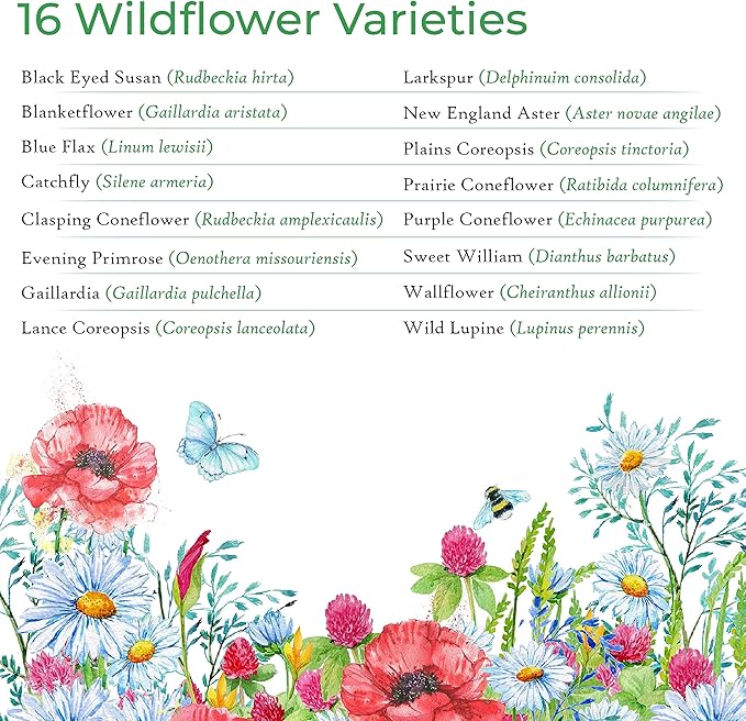 Created By Nature Indiana Wildflower Seed Mix, 16 Flower Varieties, 40,000 Seeds