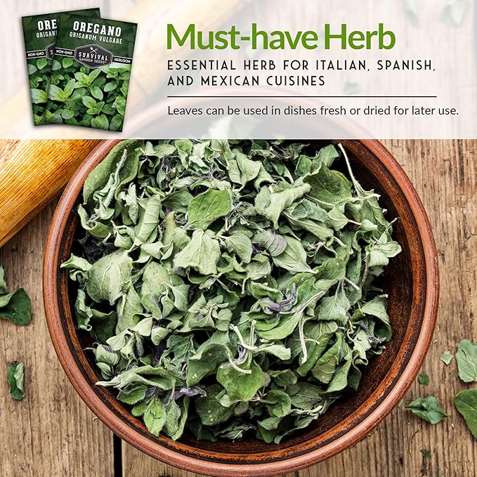 Oregano Seeds for Planting - Origanum Vulgare Culinary Herb for Italian Dishes - Grow Indoors or Outdoors for Fresh Flavor and Pollinators - Heirloom, Non-GMO - Survival Garden Seeds (1 Pack)