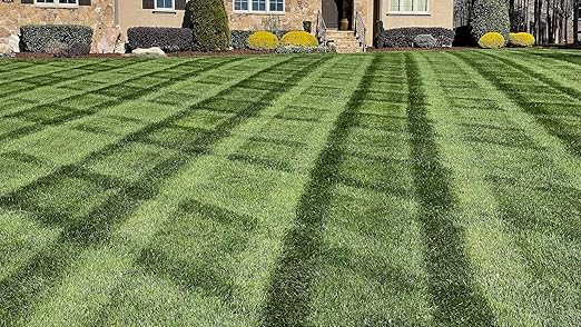 Almighty 20-0-10 Lawn Fertilizer (50 lbs.) – Professional Slow-Release Nitrogen Formula with NuTrace Micronutrients – Deep Green Lawn Color, Strong Roots & Drought Stress Recovery