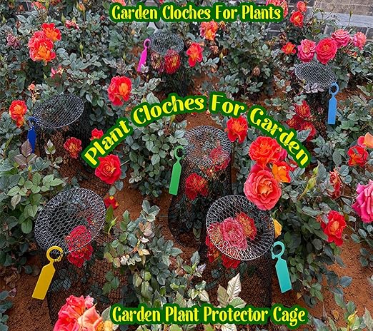 Feel Natural Plant Covers from Animals, 10 Pcs 9.25"x9.45" Wire Garden Cloches for Plants, Metal Plant Cages for Outdoor Plants, Anti-Rust Plant Protector to Keep Rabbits & Squirrels Out