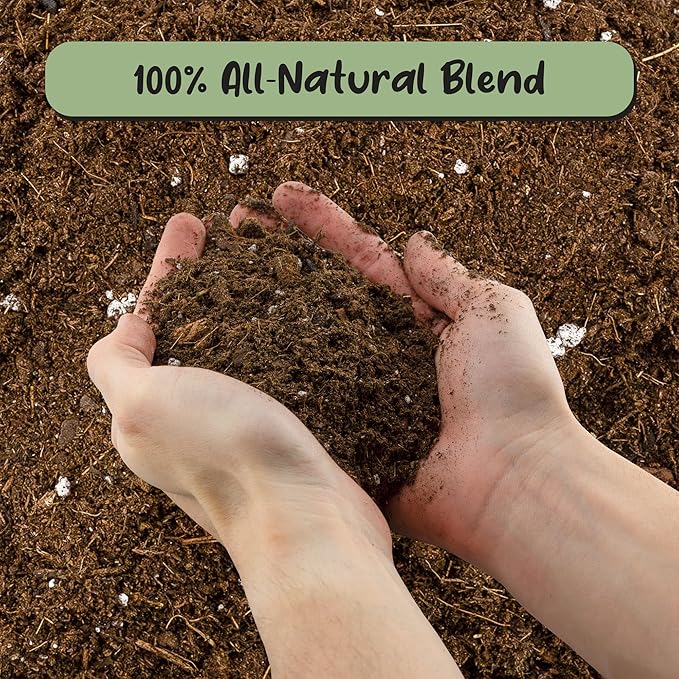 Soil Sunrise Monstera Houseplant Potting Soil Mix (4 Quarts) Custom Blend for Growing and Repotting