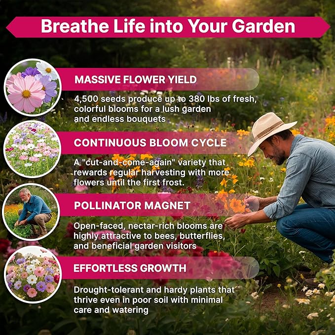 Cosmos Flower Seeds Pack 1 oz - 4,500 Non-GMO Heirloom Annual Seeds for Planting Indoor & Outdoor Gardening, Flower Seed for Garden in Resealable Packet, Floral Mix for Pollinators Perennial Mix
