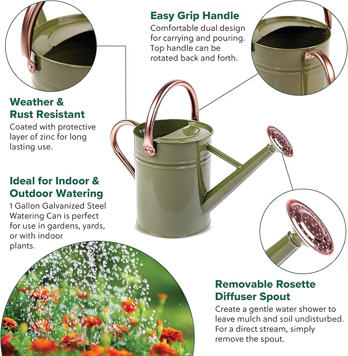 Gardman R34882 1 Gallon Watering Can, Tweed Green