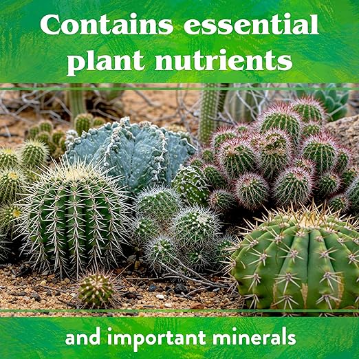 Down To Earth All Natural Fertilizers Organic Cactus & Succulent Mix - Plant Food for Cactuses, Agaves, Aloes, Jades, and Yuccas 2-4-8, 5 lb