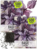 Seed Needs Opal Basil Seeds for Planting Red Basil Plants - Non-GMO Heirloom & Untreated Herb Seeds to Plant an Indoor or Outdoor Culinary Kitchen Garden (2 Packs)