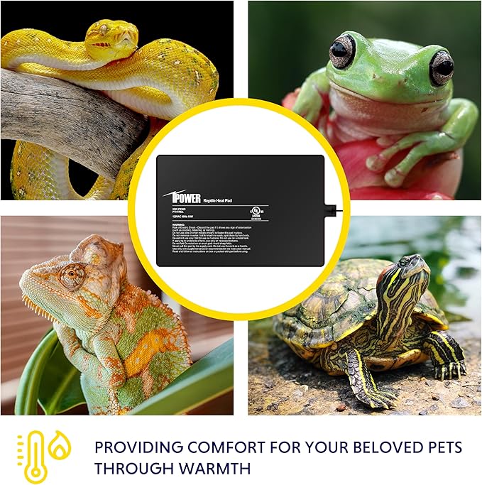 iPower 8 by 12-Inch 16W Reptile Heat Mat, LCD Digital Aquarium Thermometer, Under Tank Warmer Terrarium Heat Pad for Turtles Lizards Frogs and Other Small Animals, Multi Sizes