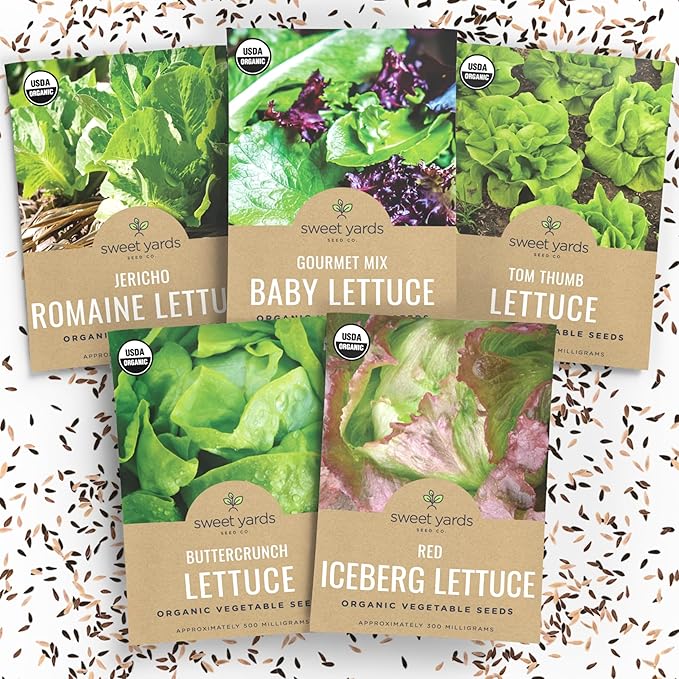 Organic Lettuce & Greens Seeds Variety Pack - 5 Individual Packs - 2026 Season - Buttercrunch, Gourmet Mix, Romaine, Tom Thumb & Iceberg. for Indoor & Outdoor Planting (Non-GMO, Certified Organic)