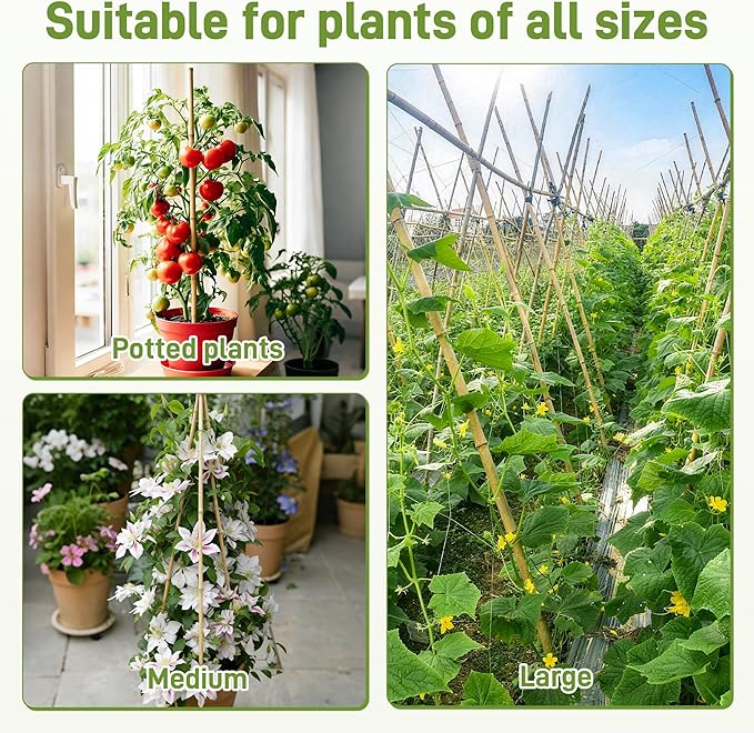 0.32”-0.4"/ 4 Feet Garden Stakes, Natural Bamboo Sticks Plant Stakes for Indoor and Outdoor Plants，Poles for Tomatoes, Beans, Potted Plants(50Pcs)
