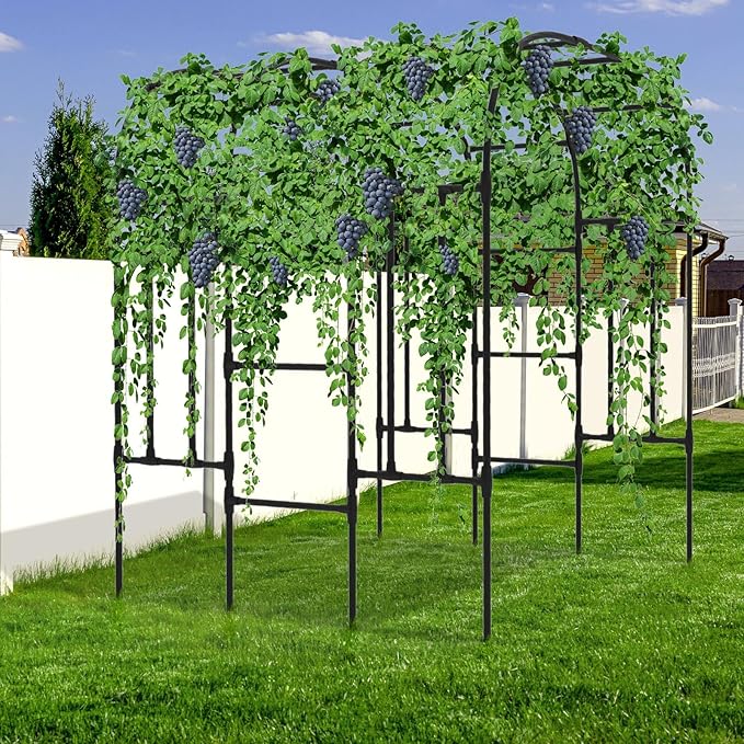 Trellis for Climbing Plants Outdoor - Size of The Grape Vine Trellis: 71 * 69 * 79 inch - Cucumber Trellis for Raised Bed, Garden Trellis for Climbing Plants, Cucumber, Vegetable, Tomato