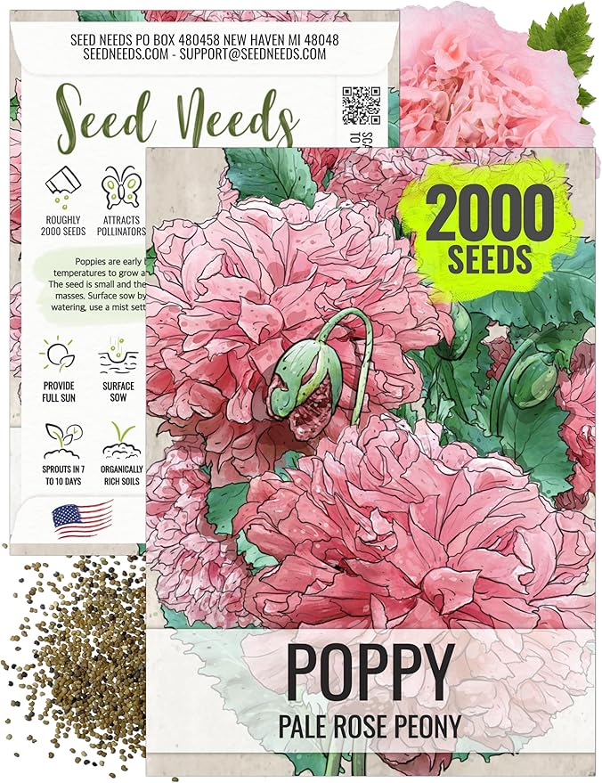 Seed Needs Pale Rose Peony Poppy Seeds for Planting - Heirloom & Open Pollinated Annual Flowers - Pink Ruffled Blooms to Attract Butterflies to The Garden (1 Pack)