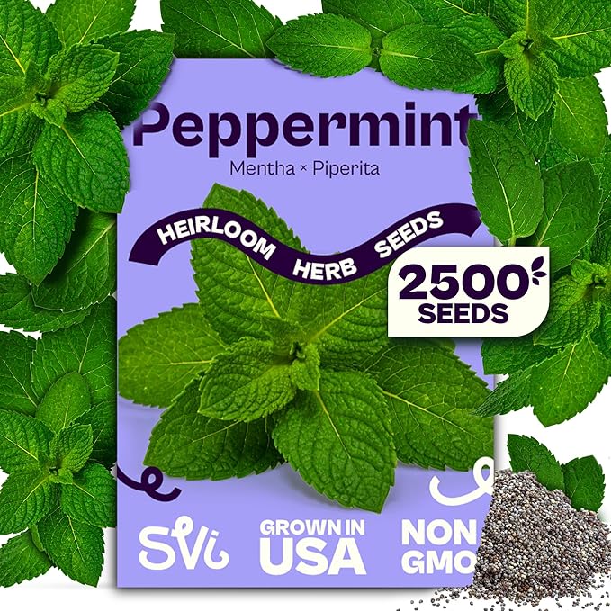SVI 2500 Peppermint Seeds (Mentha piperita) - Aromatic Perennial Herb, Peppermint for Tea, Culinary Use - Non GMO & Herb Seeds for Outdoor & Indoor Garden, Containers