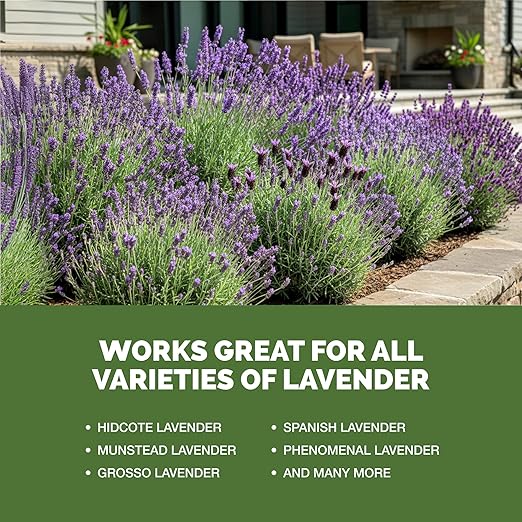 Lavender Fertilizer – Liquid Plant Food for More Blooms, Stronger Roots & Healthy Growth, 32 oz